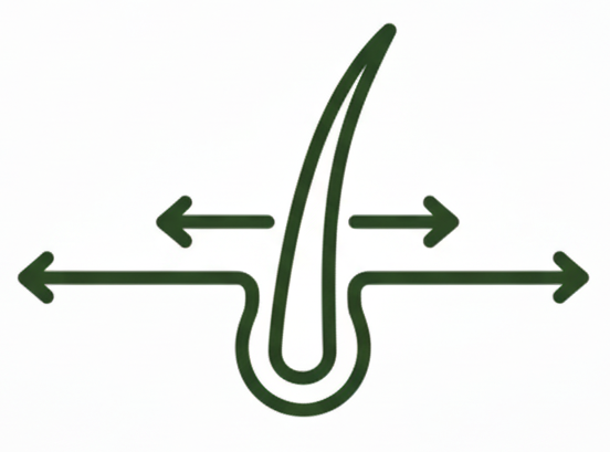 Illustration of a hair strand with arrows indicating direction on a white background